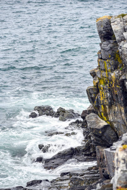 istock Jagged cliff at Atlantic Ocean in Eastern Canada 1159727657