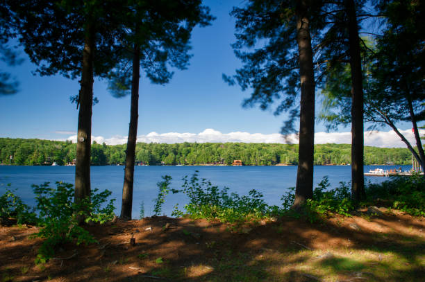 istock Lake view from a cottage resort 1159727706