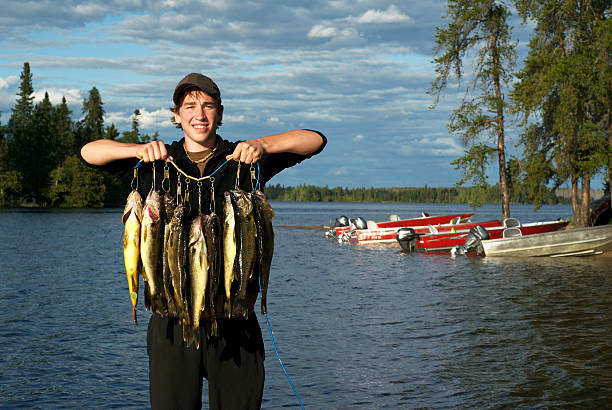 Walleye in Canada Teenage boy with a full stringer of walleyes on a sunny day with a lake and pine trees and fishing boats and some clouds catch of fish photos stock pictures, royalty-free photos & images