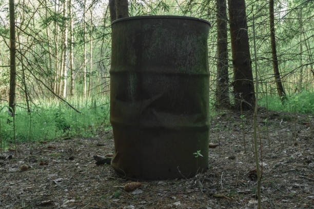 istock Old and rusty barrel in the middle of dense and dark spruce forest 1159729387