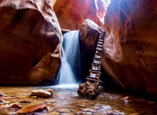 istock A waterfall and ladder on a wet hiking trail. 1159732651