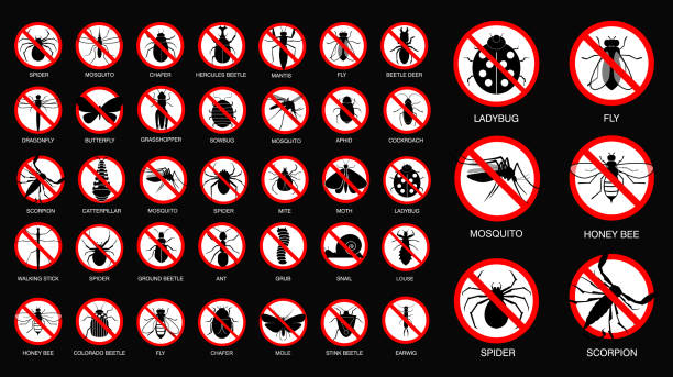 set of various insect prohibited in silhouette, with insect name. set of various insect prohibited in silhouette, with insect name. easy to modify pest stock illustrations