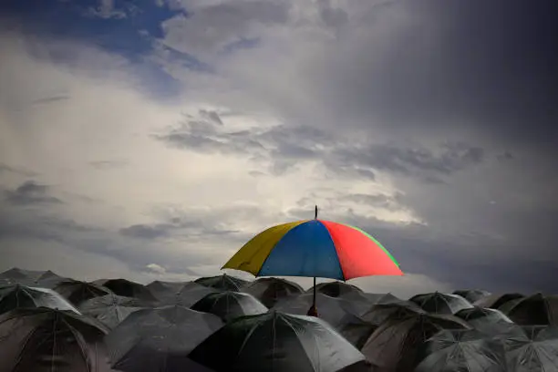 Photo of Multi-colorful umbrella