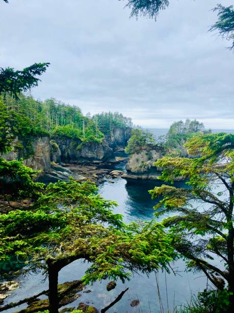 istock Breathtaking Pacific Ocean Coastline 1159738916