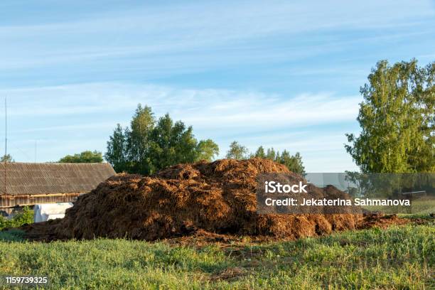 Pile Of Manure On Organic Green Farm Field In Countryside At Sunrise Stock Photo - Download Image Now