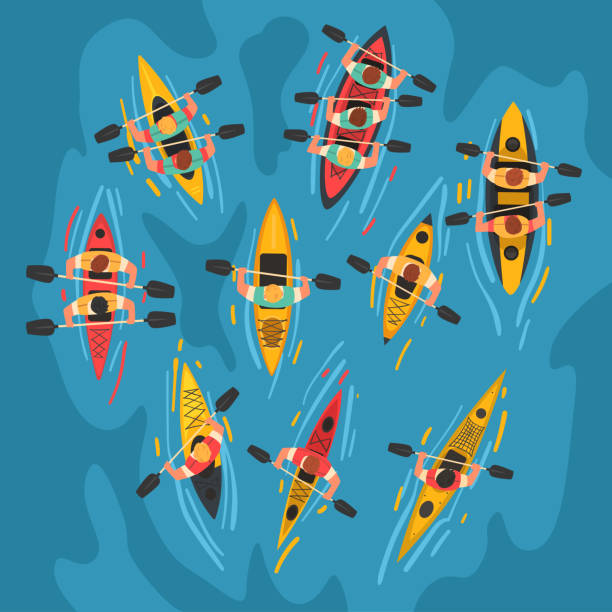 ilustrações de stock, clip art, desenhos animados e ícones de athletes paddling kayaks set, kayaking water sport, outdoor activities in summertime, top view vector illustration - canoe canoeing paddling oar