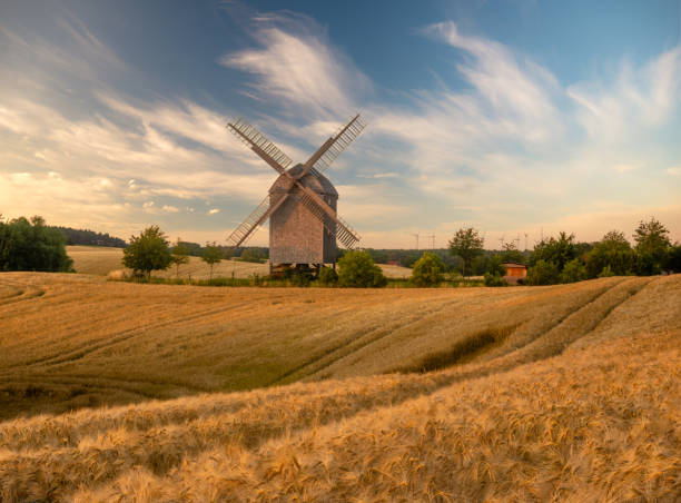 istock historic, wooden windmill on a summer field during sunset 1159741614
