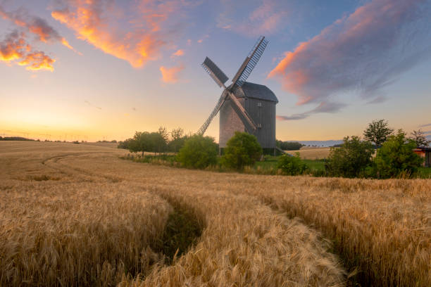istock historic, wooden windmill on a summer field during sunset 1159742215