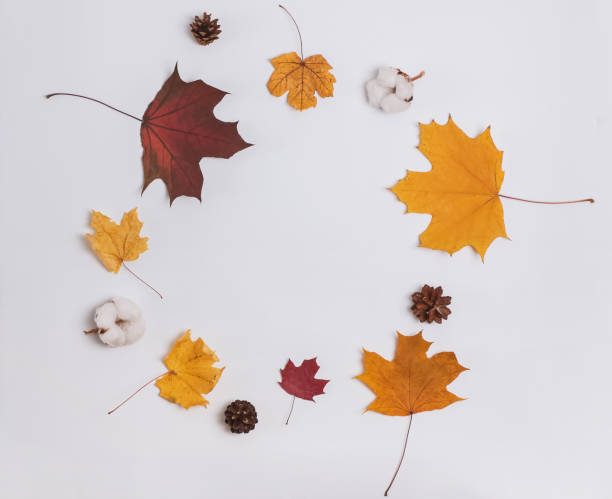 istock Creative autumn composition with yellow and red leaves, pine cones and cotton buds 1159742296
