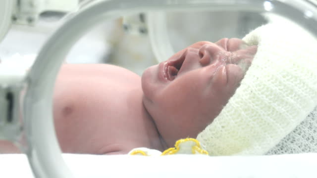 4K Close Up Of Young Newborn Baby Boy Crying Inside Medical Intensive Care Units Incubator At Hospital, Newborn Baby Inside Incubator