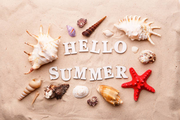 istock Text Hello Summer from white letters and sea shells and starfish on sand 1159744734