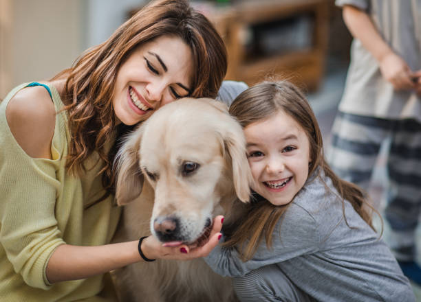 istock We love our dog very much! 1159746446