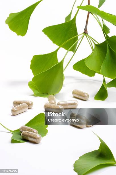 Photo libre de droit de Ginkgo Biloba banque d'images et plus d'images libres de droit de Blanc - Blanc, Brindille, Complément vitaminé