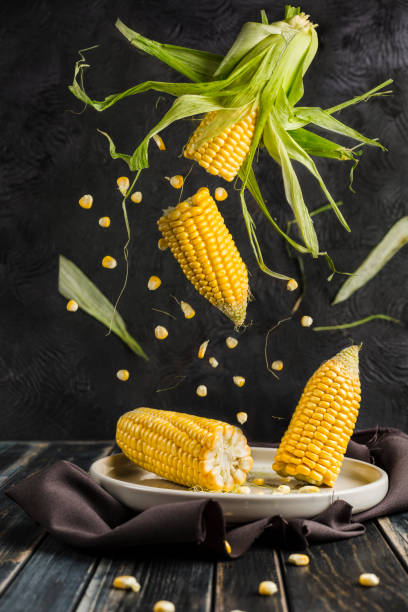 Flying corn on a plate Flying corn on a plate is broken into two parts close-up popcorn snack bowl isolated stock pictures, royalty-free photos & images