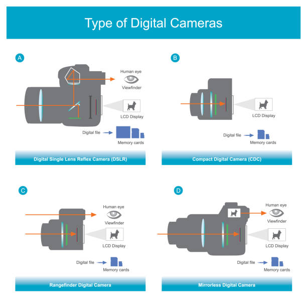 typ aparatów cyfrowych. - rangefinder camera stock illustrations