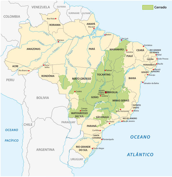 ilustraciones, imágenes clip art, dibujos animados e iconos de stock de mapa del paisaje de la sabana de cerrado en brasil - amazonas state