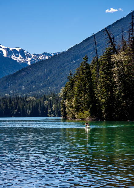 istock Birkenhead Lake Provincial Park BC 1159752798