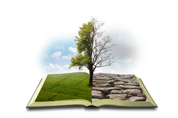 istock Concept an open book. Bipolarity. On one side, nature, on another smog and a drought isolated on white background 1159753331