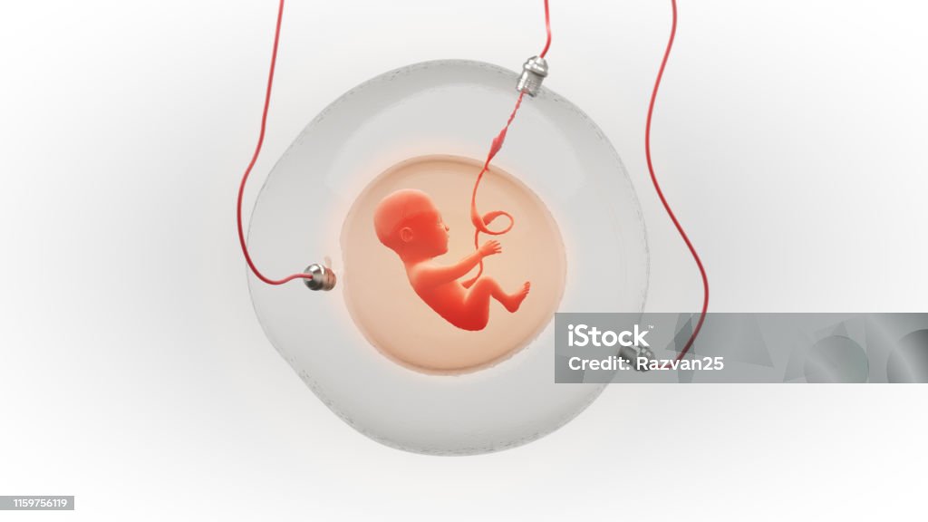 Fetus development in an artificial gestational sac Concept illustration of a fetus development in an artificial gestational sac Artificial Stock Photo