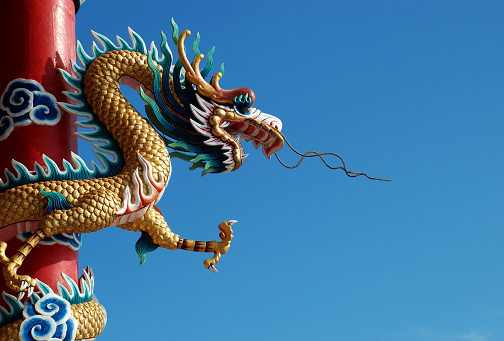 Another animal dragon That the Chinese people respect and worship, pay homage to fortune