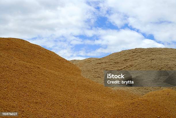 Dunas De Poeiras - Fotografias de stock e mais imagens de Madeira - Material - Madeira - Material, Amontoar, Aparar Madeira