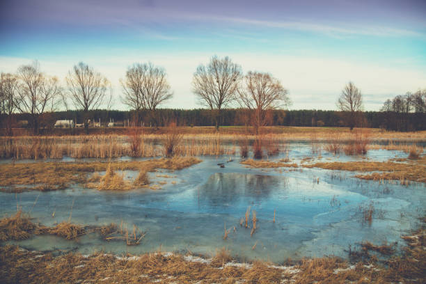 Lake in winter during the first frost