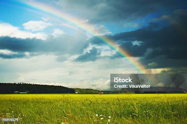 Słońce I Deszczem - zdjęcia stockowe i więcej obrazów Tęcza - Tęcza, Mokry, Niebo - Zjawisko naturalne
