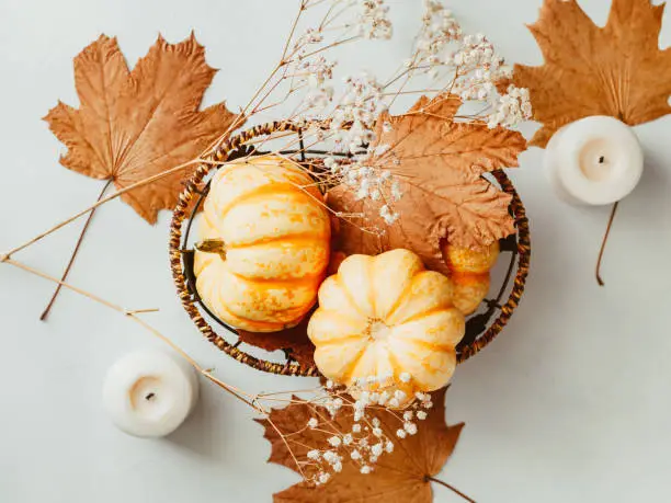 Photo of Top view of small pumpkins on a wooden board decorated Autumn ornate. The concept of Thanksgiving and Autumn.