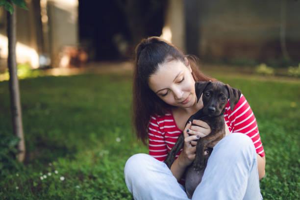 istock Girl having fun with her puppy 1159767326