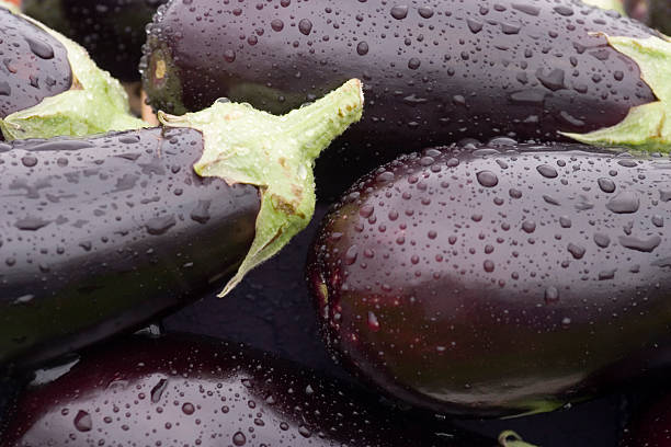 water drops on fresh aubergines stock photo