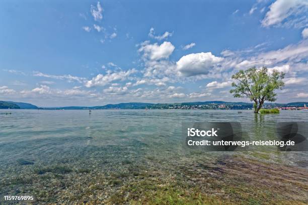 Lake Constance In Summer With High Water Stock Photo - Download Image Now - Bodensee, Taking a Bath, Überlingen