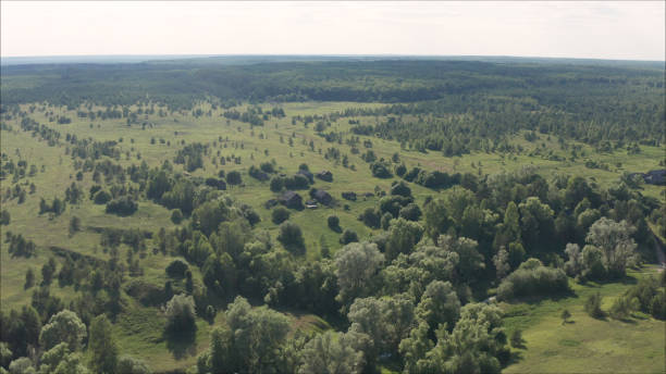 istock The forests are overgrown. Abandoned field in Rowska village. 1159770009