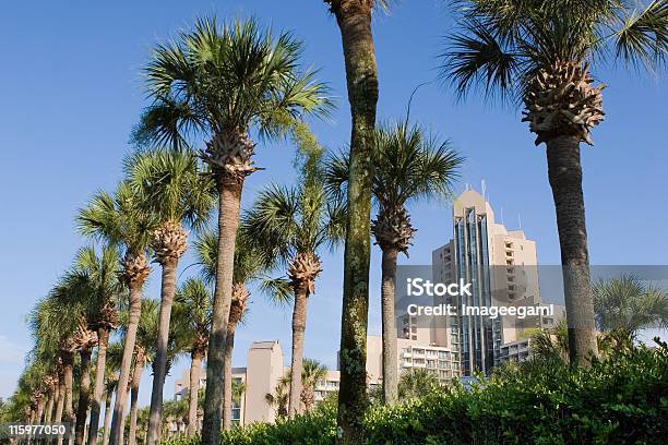 Five Star Hotel Stock Photo - Download Image Now - Orlando - Florida, Convention Center, Hotel