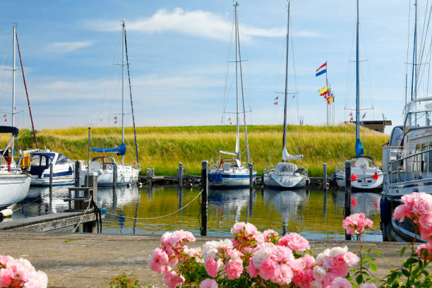 A peaceful maritime scene in a Denmark harbor, where sailboats and motorboats gently float on the calm water.