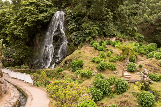 istock Waterfall in natural park, Nordeste, Sao Miguel 1159771310