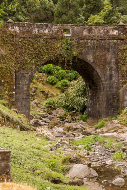 istock Bridge in the natural park Nordeste 1159771314