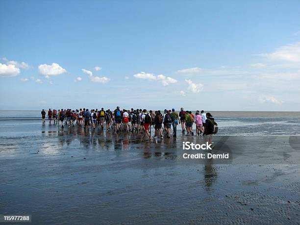 Pessoas A Caminhar Em Um Mar - Fotografias de stock e mais imagens de Admirar a Vista - Admirar a Vista, Andar, Ao Ar Livre