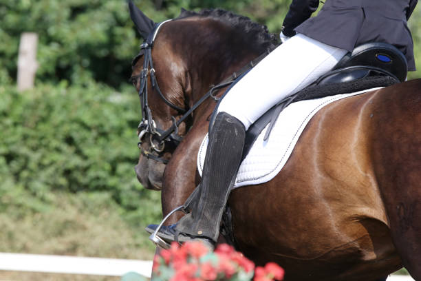 istock Unknown dressage rider sits on her stallion during race 1159772895