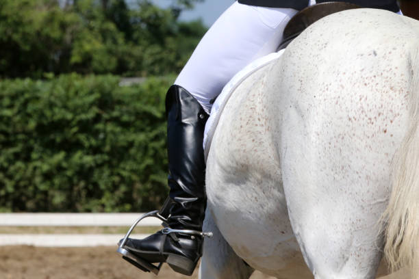istock Unknown dressage rider sits on her stallion during race 1159772903