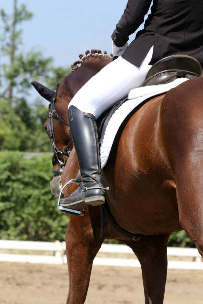 istock Unknown dressage rider sits on her stallion during race 1159772947