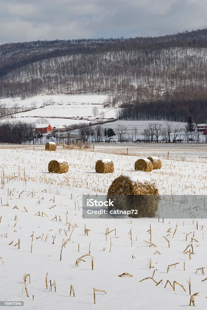 Farm Felder im Schnee Valley, Winter Landwirtschaft-Landschaft - Lizenzfrei Feld Stock-Foto