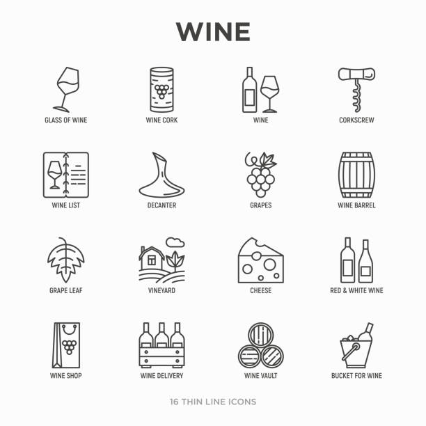 와인 얇은 라인 아이콘 세트: 코르크 나사, 와인 유리, 코르크, 포도, 배럴, 목록, 디켄터, 치즈, 포도원, 양동이, 상점, 배달. 현대 벡터 그림입니다. - 와인 stock illustrations