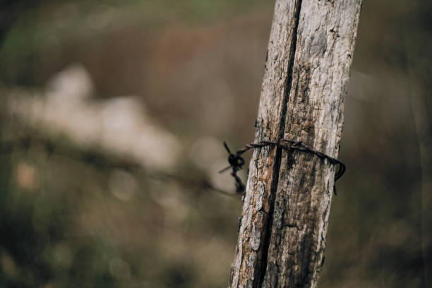 istock Close-Up Of Old Fence Post With Barbed Wire 1159774138