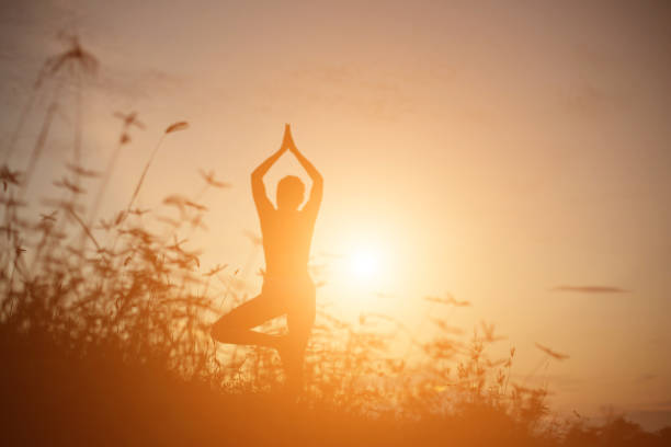 istock Silhouette of woman 1159776740
