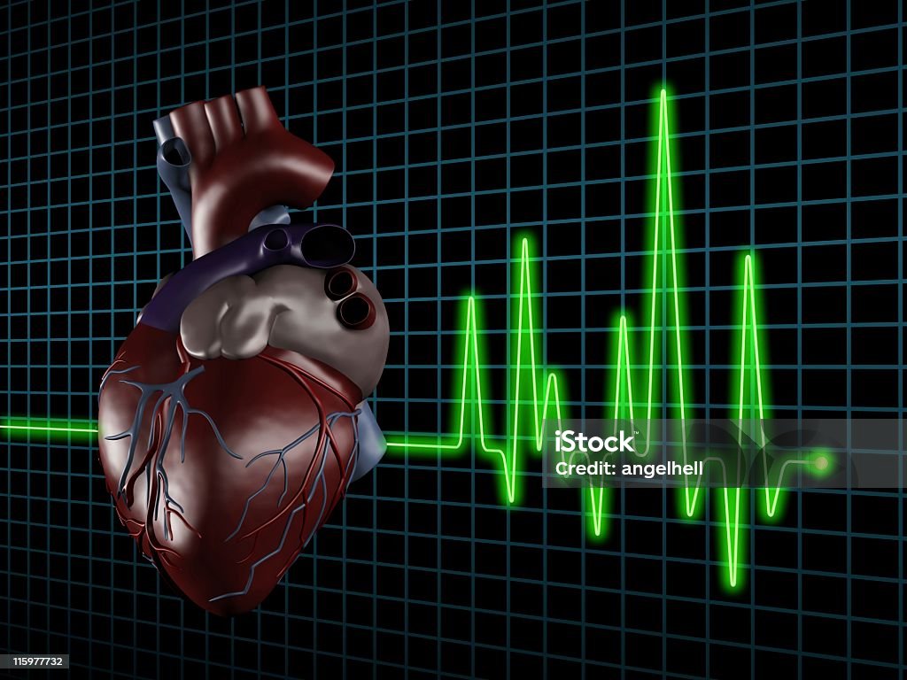 Electrocardiograma (ECG/EKG) con corazón humano en pantalla - Foto de stock de Analizar libre de derechos