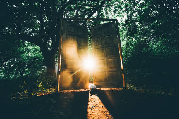 la puerta de cuento de hadas - milagro evento religioso fotografías e imágenes de stock