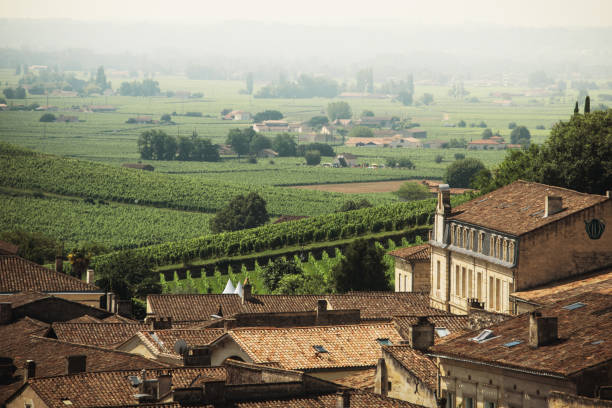 istock Saint Emilion, France, as seen from above 1159778088