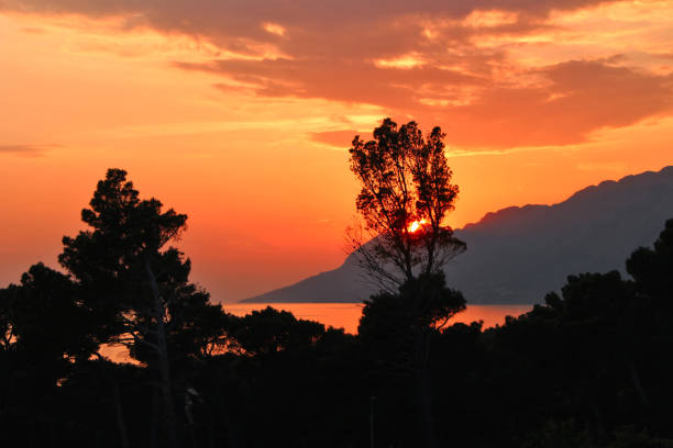 istock sunset, trees, sea and mountains 1159778124