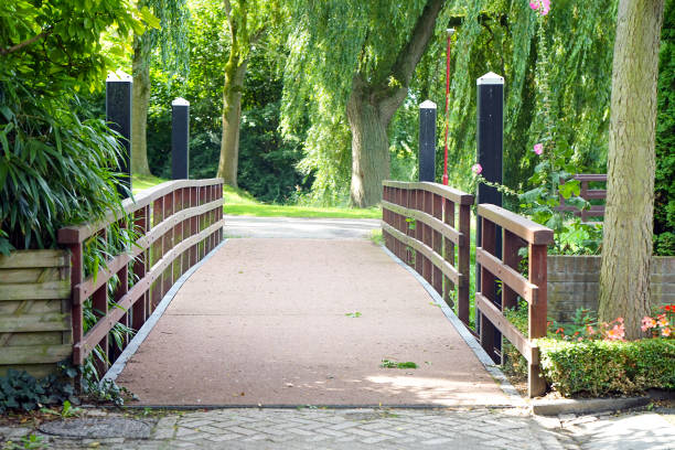 istock Wooden bridge over a pond 1159781084