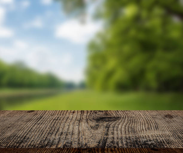 istock Table top and blur nature of the background 1159782735